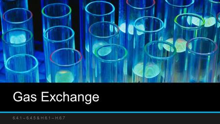 Gas Exchange 6.4.1 – 6.4.5 & H.6.1 – H.6.7. Thursday, January 29, 2015 Quiz Lecture: 6.4.1 – 6.4.5 HW TEST Moved to Tuesday, February 10 th [Transportation.