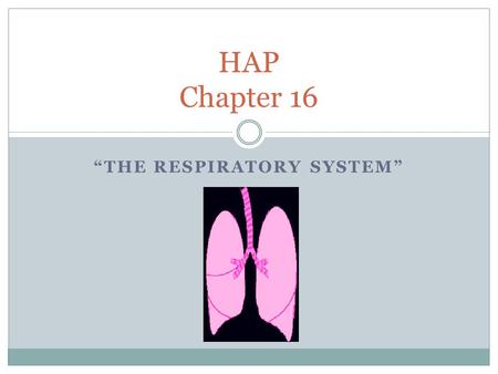 “THE RESPIRATORY SYSTEM” HAP Chapter 16. Why breathe???