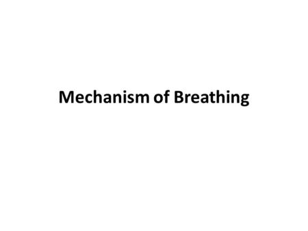 Mechanism of Breathing