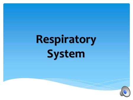 Respiratory System.