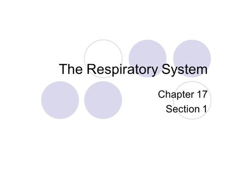 The Respiratory System