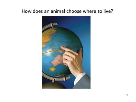 1 How does an animal choose where to live?. 2 5/29/08: Habitat Selection Lecture objectives: 1.Understand the adaptive value of: habitat selection, dispersal.