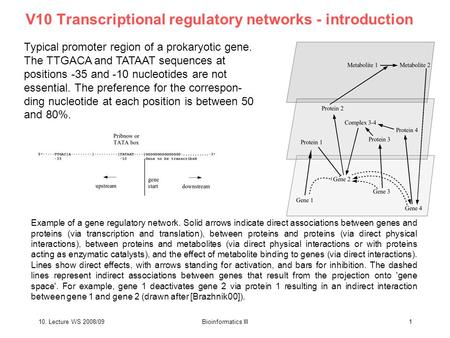 10. Lecture WS 2008/09Bioinformatics III1 V10 Transcriptional regulatory networks - introduction Typical promoter region of a prokaryotic gene. The TTGACA.