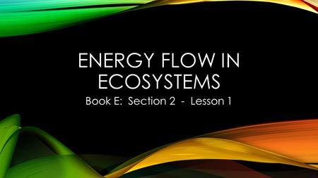 Energy flow in ecosystems