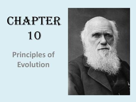 Principles of Evolution