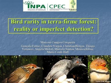 1 Bird rarity in terra-firme forest: reality or imperfect detection? Marconi Campos Cerqueira Gonçalo Ferraz, Claudeir Vargas, Christian Borges, Thiago.