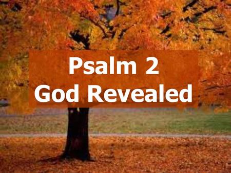 Psalm 2 God Revealed. “Revelation”  New Testament references  More possible  Point us to Jesus Messianic Psalms.