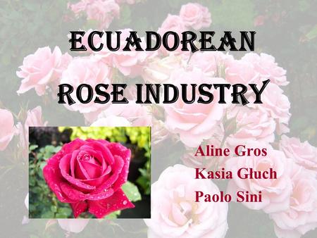 Aline Gros Kasia Głuch Paolo Sini Ecuadorean Rose Industry.