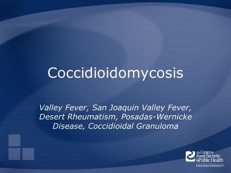 Coccidioidomycosis Valley Fever, San Joaquin Valley Fever, Desert Rheumatism, Posadas-Wernicke Disease, Coccidioidal Granuloma.