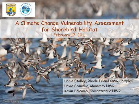 A Climate Change Vulnerability Assessment for Shorebird Habitat February 17, 2011 Dorie Stolley, Rhode Island NWR Complex David Brownlie, Monomoy NWR Kevin.