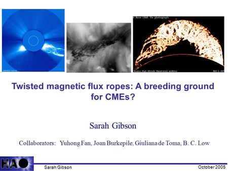 Sarah Gibson October 2005 Twisted magnetic flux ropes: A breeding ground for CMEs? Sarah Gibson Collaborators: Yuhong Fan, Joan Burkepile, Giuliana de.