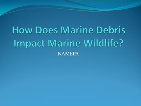 NAMEPA. Marine debris can have serious impacts on both marine wildlife and humans. Debris can entangle, maim, and even drown many wildlife species.