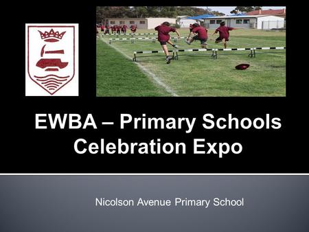 Nicolson Avenue Primary School. Increase children’s physical activity levels. = Decrease children’s sedentary leisure time behaviours. Increase consumption.