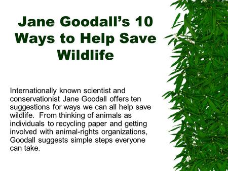 Jane Goodall’s 10 Ways to Help Save Wildlife