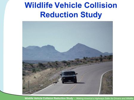 Wildlife Vehicle Collision Reduction Study. Why this Study.