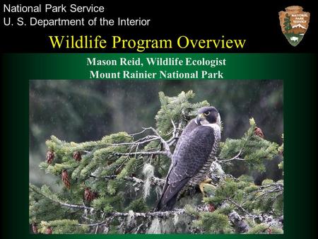 U. S. Department of the Interior National Park Service Wildlife Program Overview Mason Reid, Wildlife Ecologist Mount Rainier National Park.