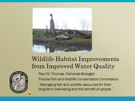 Wildlife Habitat Improvements from Improved Water Quality Paul W. Thomas, Fisheries Biologist Florida Fish and Wildlife Conservation Commission “Managing.