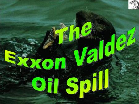 The Exxon Valdez oil Spill We will look at:  The background history of the Exxon Valdez Oil Spill  The effects of the spill- particularly to the Sea.