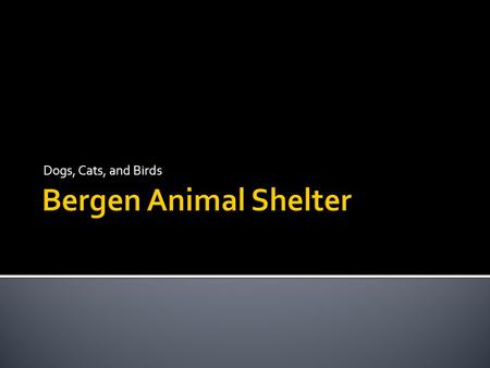 Dogs, Cats, and Birds.  Adoption  Rescue  Public Health  Wildlife We are a county- operated shelter providing animal control.