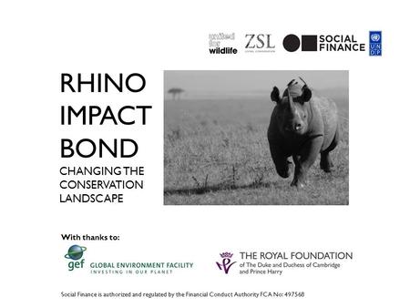 rhino impact Bond changing the conservation landscape