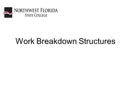 Work Breakdown Structures. Purpose The WBS shows different levels within the product hierarchy. For Government program managers levels 1-3 are of prime.