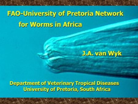 FAO-University of Pretoria Network for Worms in Africa FAO-University of Pretoria Network for Worms in Africa Department of Veterinary Tropical Diseases.