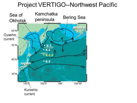 Project VERTIGO--Northwest Pacific KNOT SEEDS Bering Sea Sea of Okhotsk Kuroshio current Oyashio current Kamchatka peninsula.