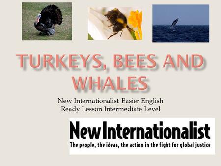 New Internationalist Easier English Ready Lesson Intermediate Level.