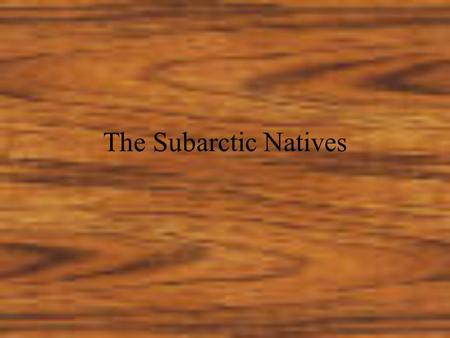 The Subarctic Natives. The subarctic natives were nomads living in a forbidding climate they had to endure great famines and some of the coldest winters.