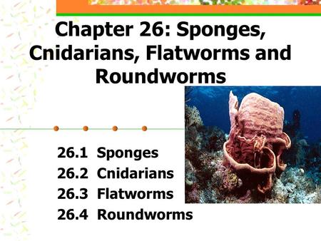 Chapter 26: Sponges, Cnidarians, Flatworms and Roundworms