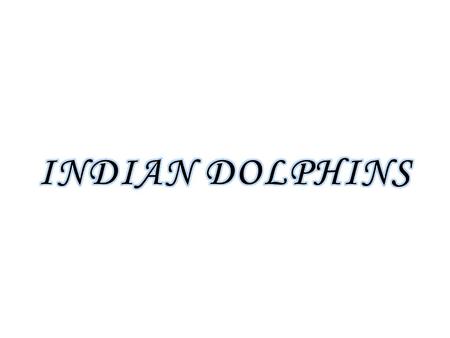 What do Dolphins Eat? Dolphins mainly eat fish and squid. Different species are known to prefer different types of food. Mackerels are known to have more.