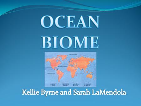 Oceans can be found all around the world 75% of the planets surface is consumed by oceans The four main oceans are the Pacific, Atlantic, Indian, and.