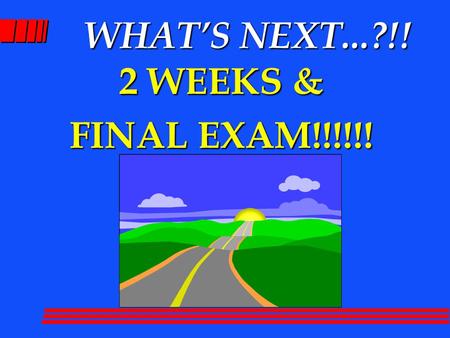 WHAT’S NEXT...?!! 2 WEEKS & FINAL EXAM!!!!!!. FINAL EXAM  TWO OF FOUR ESSAYS 200  TEN MULTIPLE CHOICE 100.