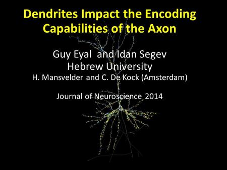 Dendrites Impact the Encoding Capabilities of the Axon Guy Eyal and Idan Segev Hebrew University H. Mansvelder and C. De Kock (Amsterdam) Journal of Neuroscience.