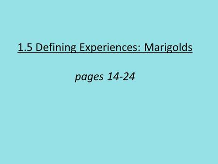 1.5 Defining Experiences: Marigolds pages 14-24