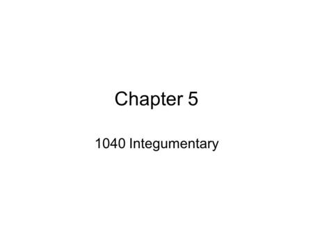 Chapter 5 1040 Integumentary. Skin ______ – superficial and thinner _____ – deeper and thicker ______ – areolar and adipose tissue –Not technically part.