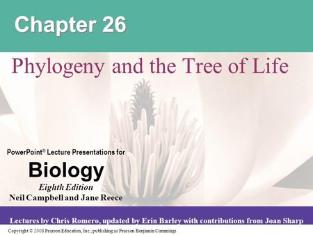 Phylogeny and the Tree of Life