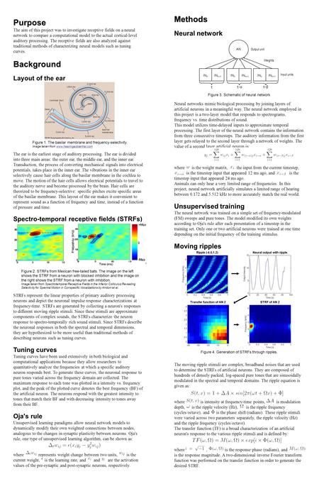 Purpose The aim of this project was to investigate receptive fields on a neural network to compare a computational model to the actual cortical-level auditory.