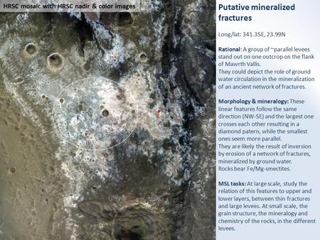 Putative mineralized fractures Long/lat: 341.35E, 23.99N Rational: A group of ~parallel levees stand out on one outcrop on the flank of Mawrth Vallis.