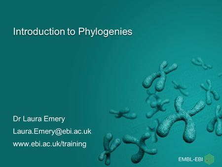 Introduction to Phylogenies