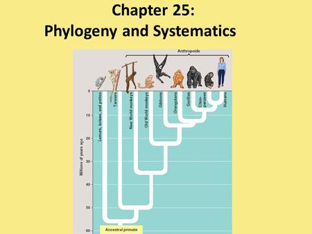 Chapter 25: Phylogeny and Systematics