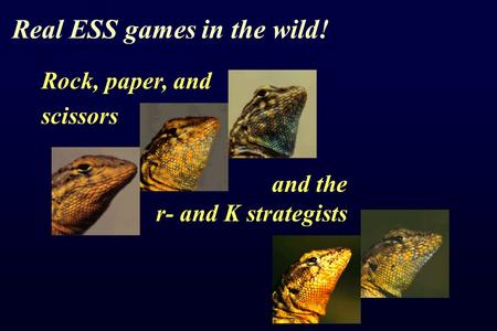 Rock, paper, and scissors Real ESS games in the wild! and the r- and K strategists.