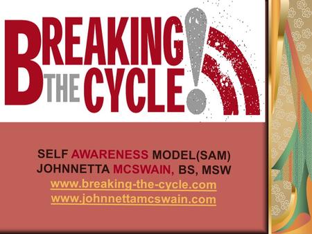 SELF AWARENESS MODEL(SAM) JOHNNETTA MCSWAIN, BS, MSW www.breaking-the-cycle.com www.johnnettamcswain.com.