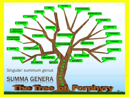 Singular: summum genus.  The ten summa genera are divided into substantial predicates and accidental predicates.  Substantial predicates answer the.