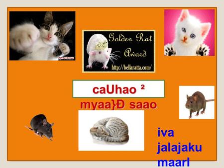 CaUhao ² myaa}Ð saao rhI hO iva jalajaku maarI koo iva p+ma.