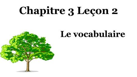 Chapitre 3 Leçon 2 Le vocabulaire. Le beau-père Noun: Person, Place, Thing, or Idea.