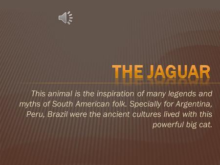 This animal is the inspiration of many legends and myths of South American folk. Specially for Argentina, Peru, Brazil were the ancient cultures lived.