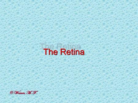 The Retina © Wesner, M. F.. We know there is retinal heterogeneity.