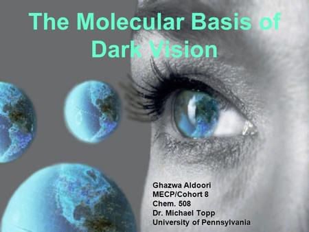 The Molecular Basis of Dark Vision Ghazwa Aldoori MECP/Cohort 8 Chem. 508 Dr. Michael Topp University of Pennsylvania.