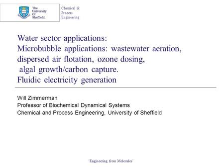 Water sector applications: Microbubble applications: wastewater aeration, dispersed air flotation, ozone dosing, algal growth/carbon capture. Fluidic.